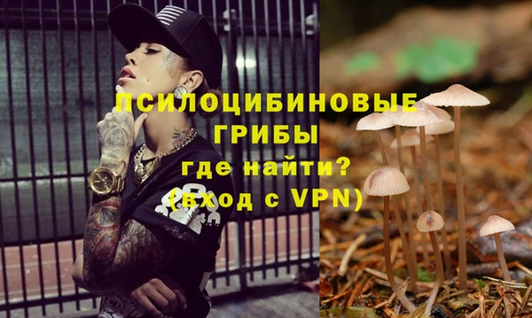 стаф Нефтекумск